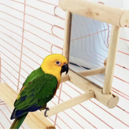 Parrot Mirror Swing | Interactive Wooden Bird Toy