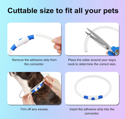 LED Dog Collar | Waterproof Rechargeable