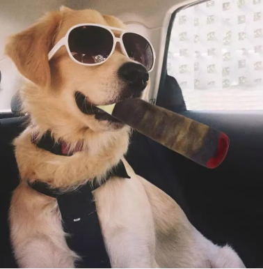 Funny Cigarette Chew Toy